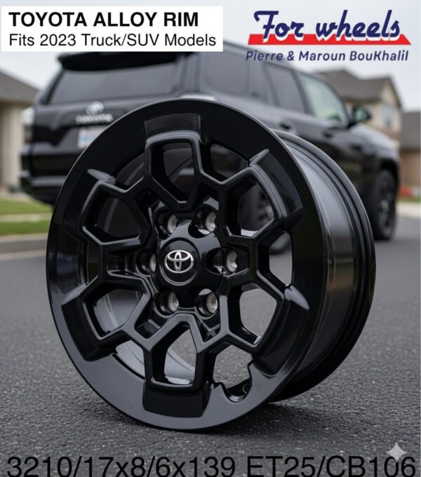 17x8/6x139