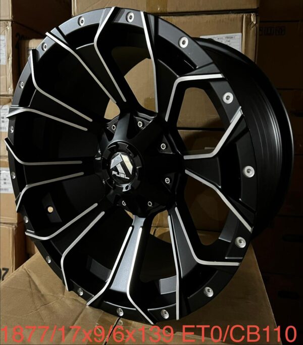 17x9/6x139