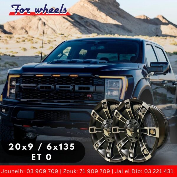 20x9/6x135